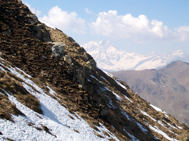 Ciam dell''Asnass...ops Punta Scalino