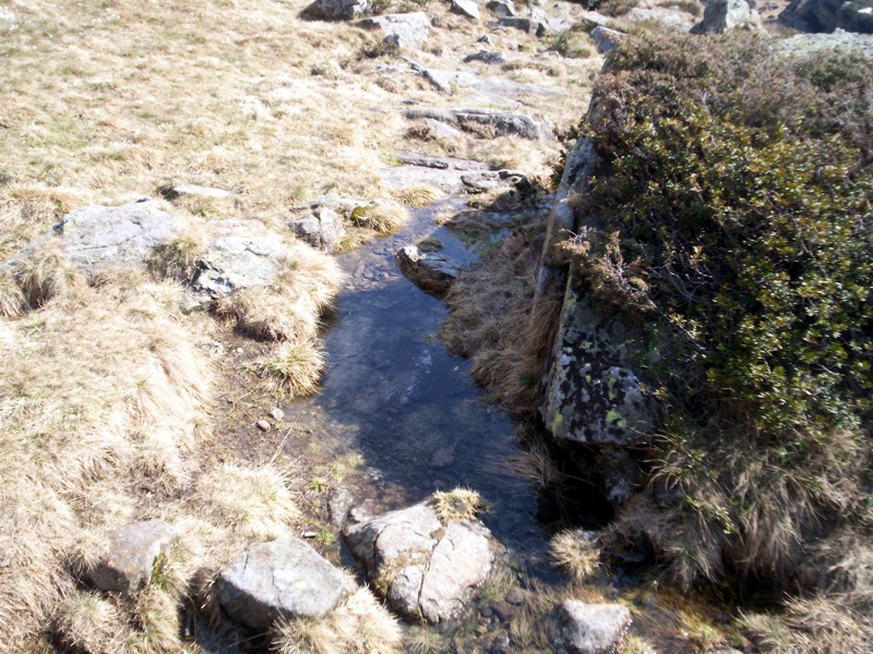 Torrente Sessera