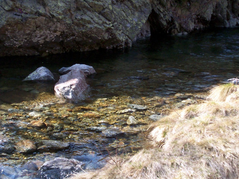 Torrente Sessera