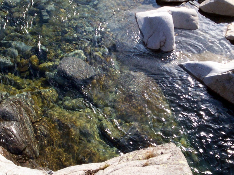Torrente Sessera