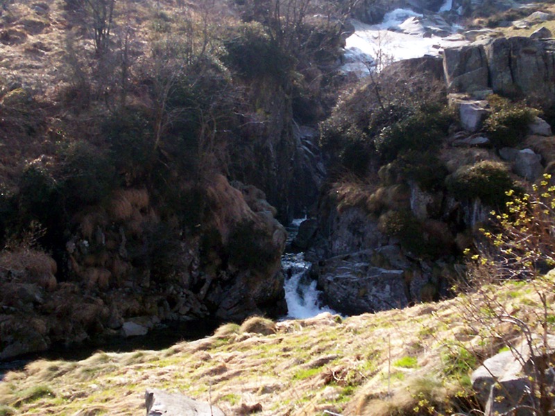 Torrente Sessera