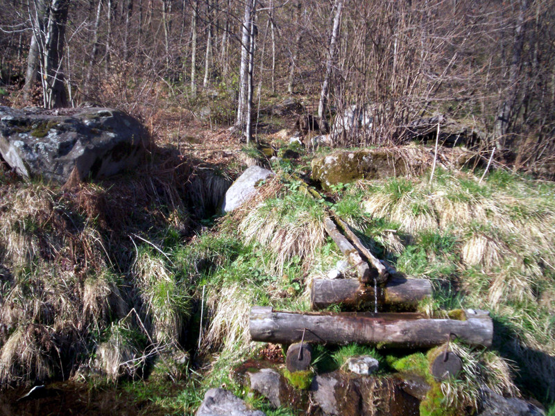 Ciam dell''Asnass...ops Punta Scalino