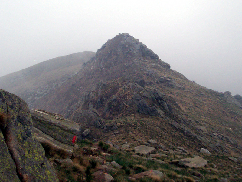 Bric Paglie e Colma di Mombarone