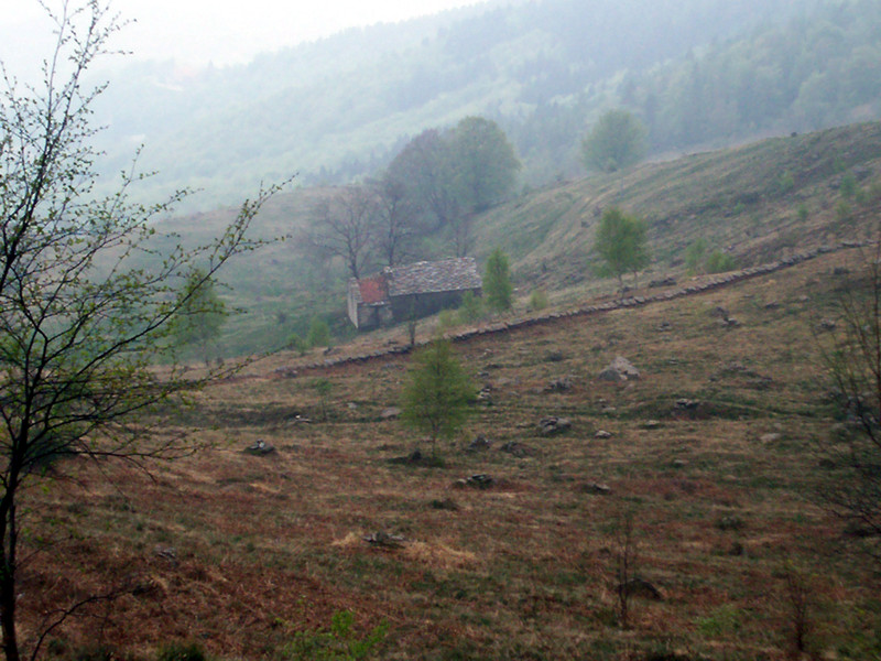 Bric Paglie e Colma di Mombarone