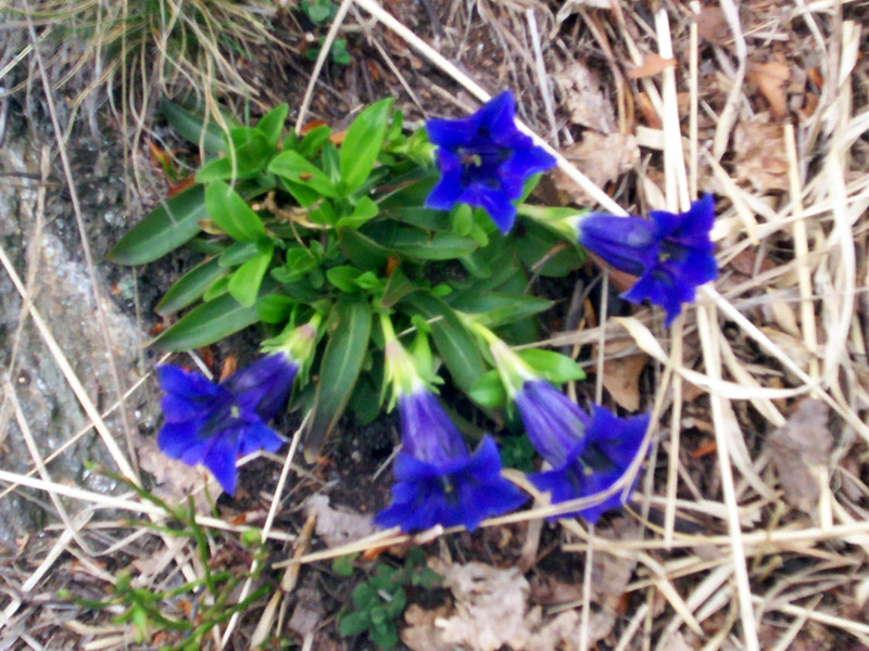 Bric Paglie e Colma di Mombarone