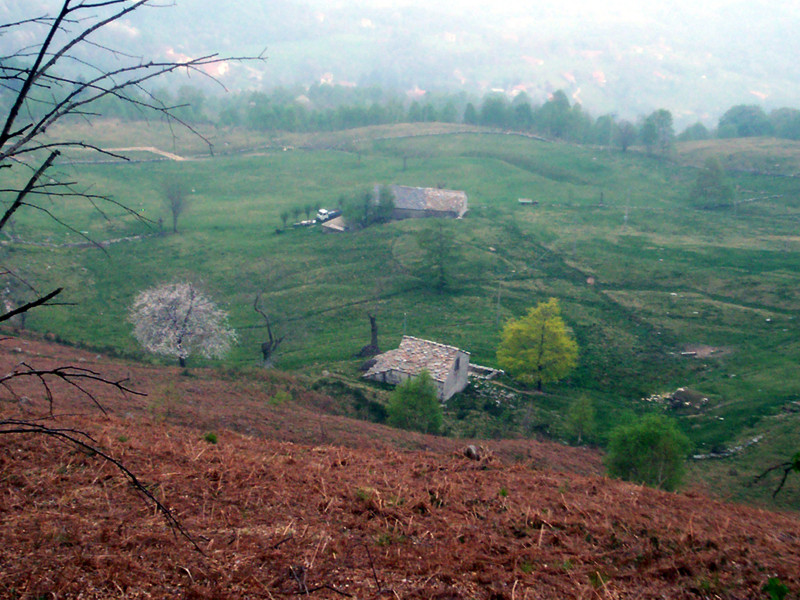 Bric Paglie e Colma di Mombarone