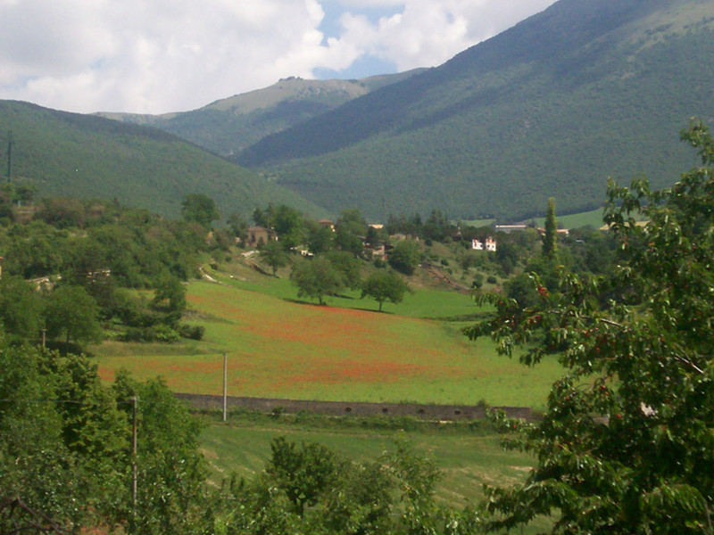 Norcia