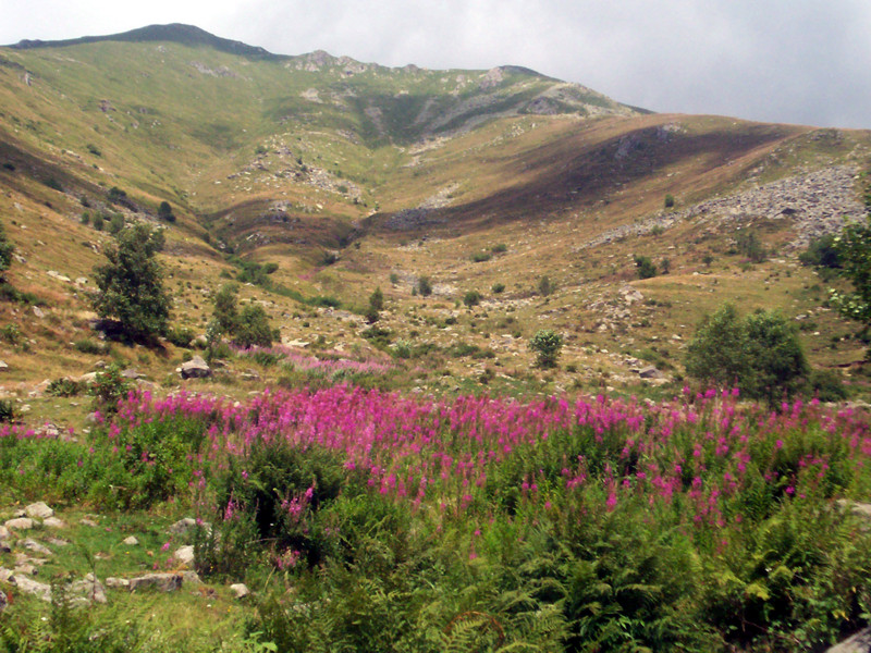 Artignana - Valsessera (Biella)