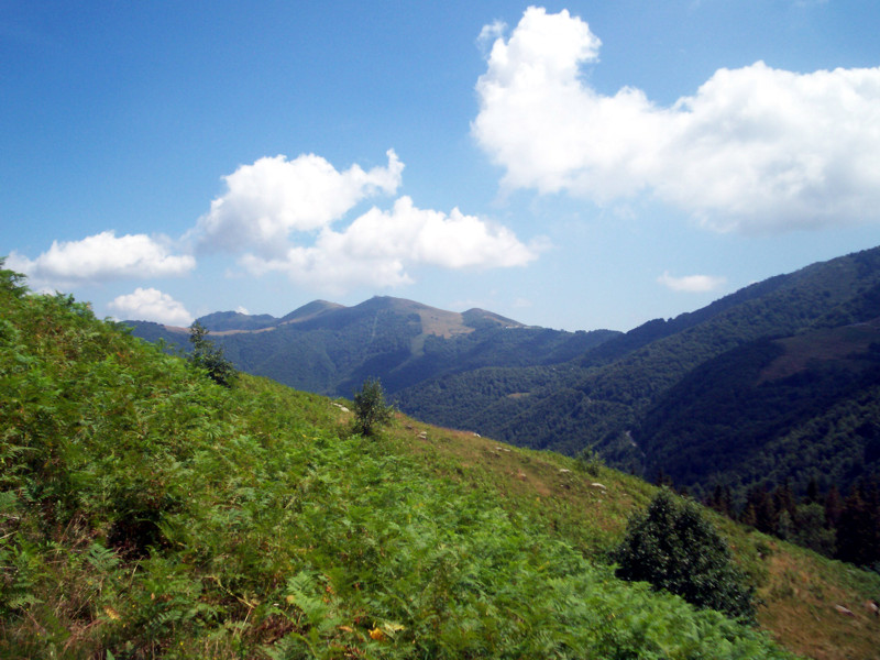 Artignana - Valsessera (Biella)