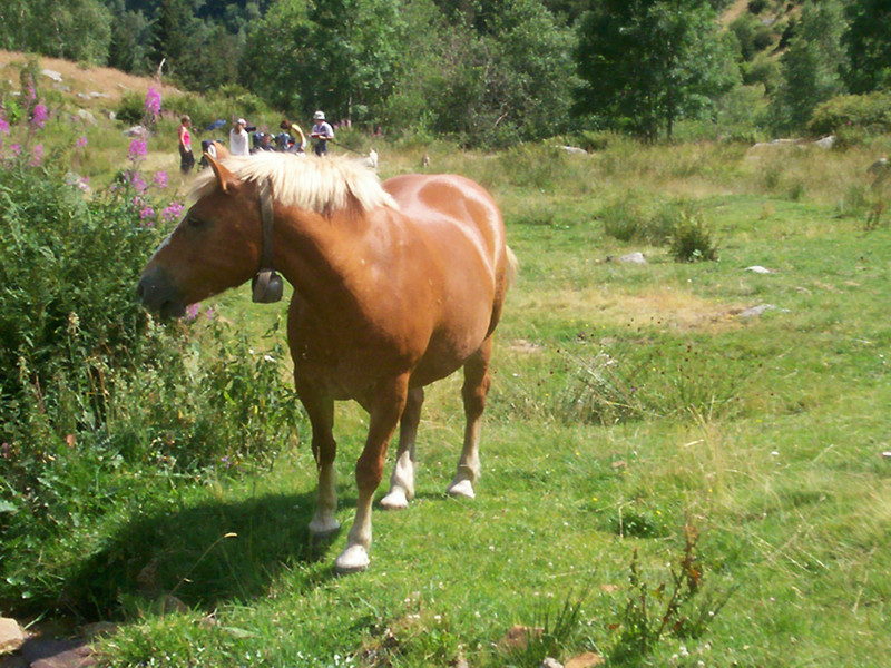 Artignana - Valsessera (Biella)