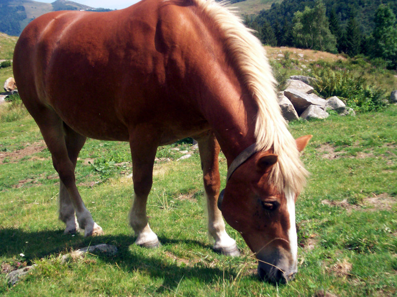 Artignana - Valsessera (Biella)