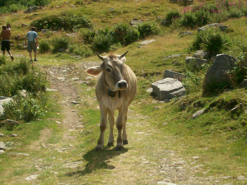 Artignana - Valsessera (Biella)