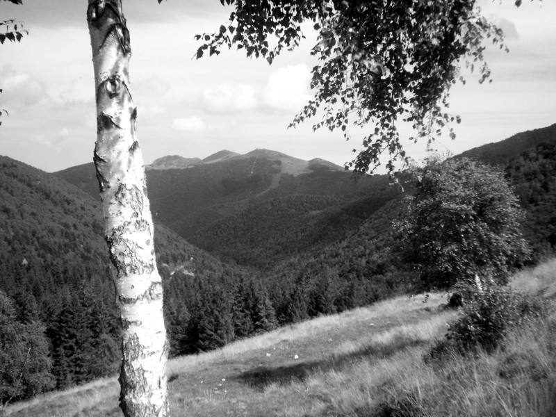 Artignana - Valsessera (Biella)