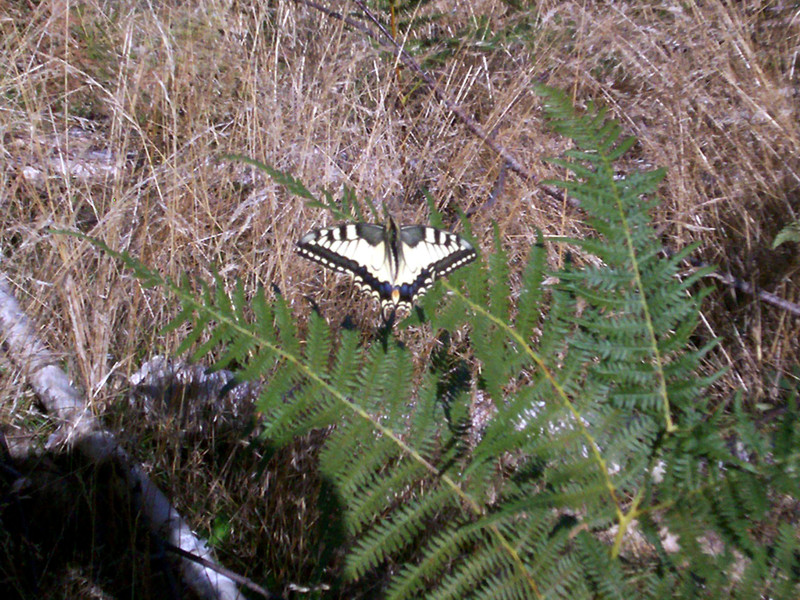 Traversata bocchetta di Margosio - Stavello
