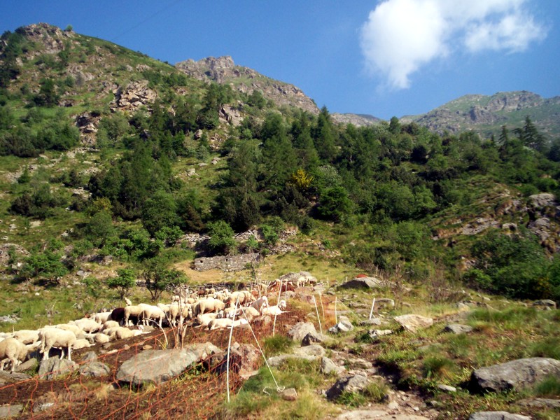 Monte Mucrone e lago del Mucrone