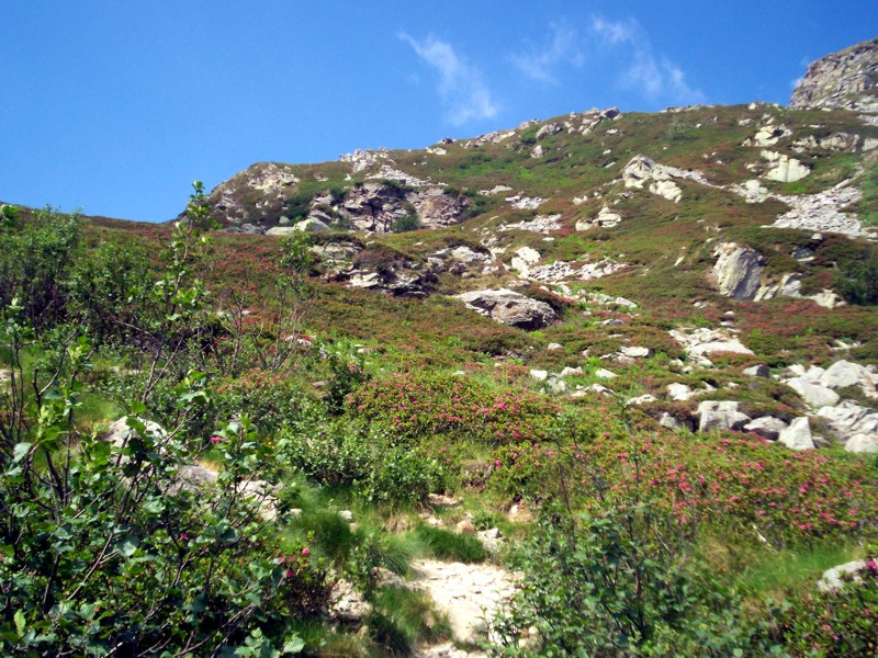 Monte Mucrone e lago del Mucrone