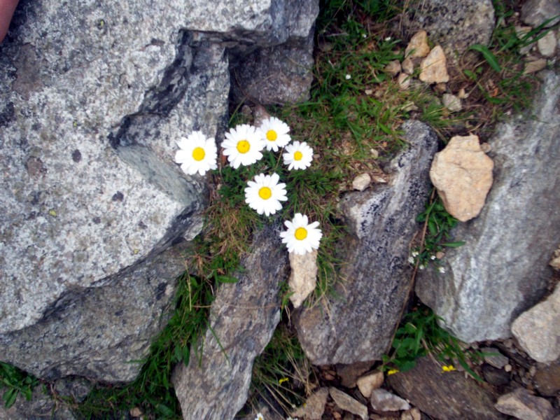 Monte Mucrone e lago del Mucrone