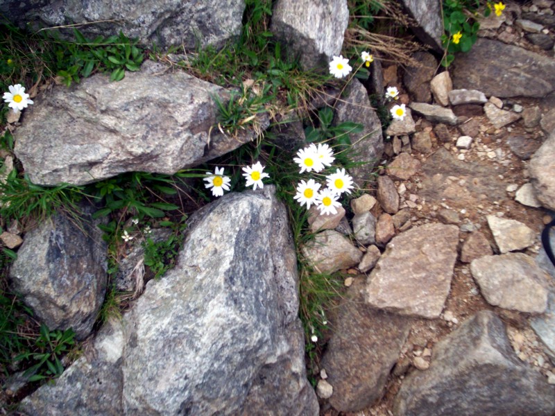 Monte Mucrone e lago del Mucrone