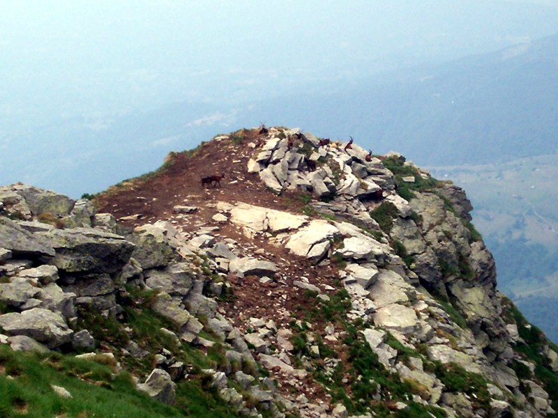 Monte Mucrone e lago del Mucrone