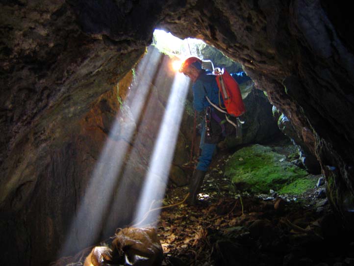 fungo in grotta