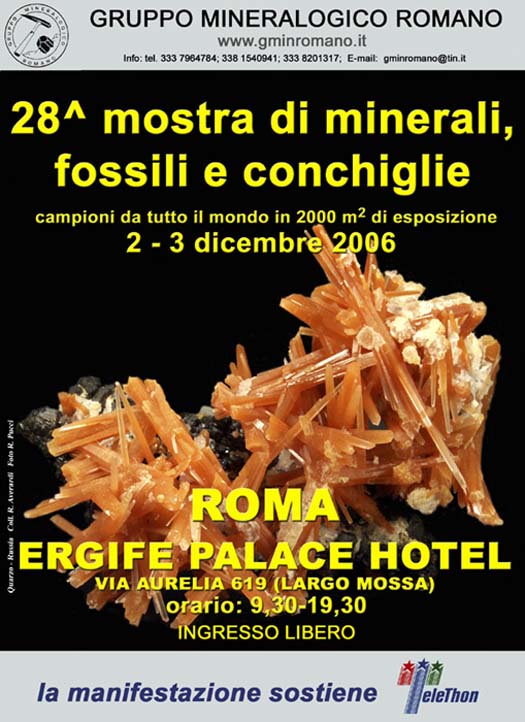 Roma 2-3 /12/2006 mostra minerali fossili e conchiglie