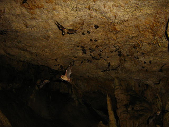 Grotta Imbroglita