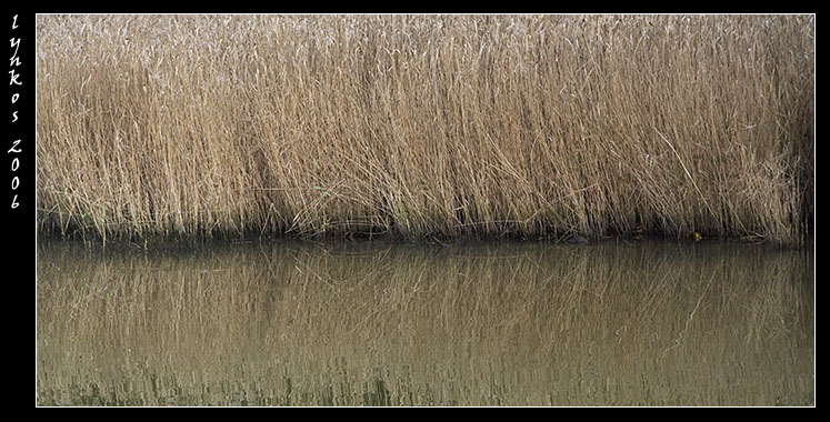 Canale dei Pescatori, Ostia, acqua verde, acqua torbida