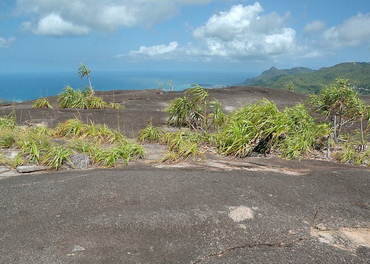 Seychelles