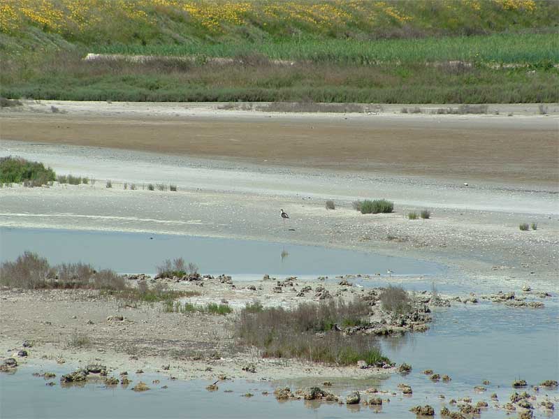 Laghi.......della PUGLIA
