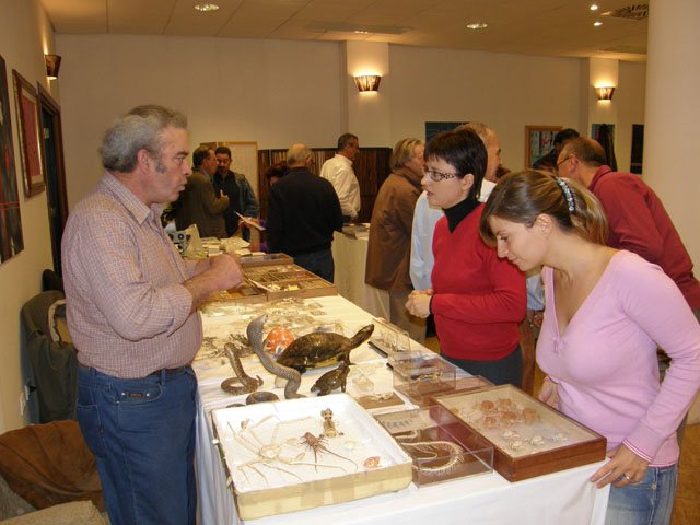 Mostra di Prato