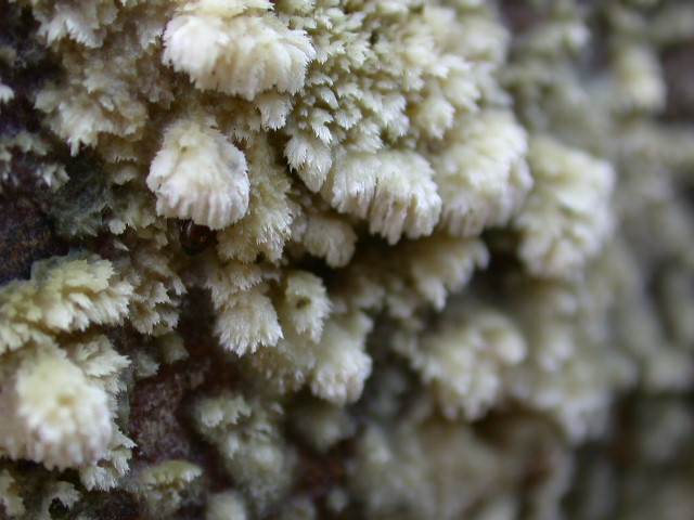 Da determinare ... n2