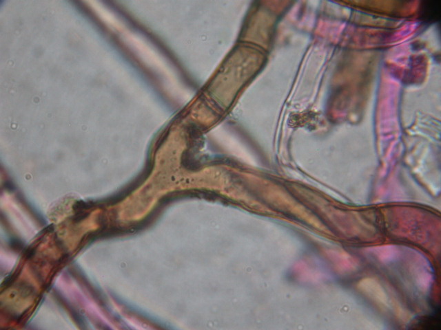 E questo adesso .... QUIZ