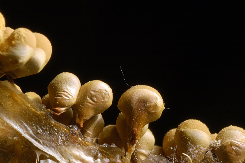 Per restare in tema....