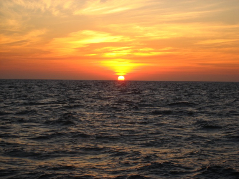 Alba maditerranea