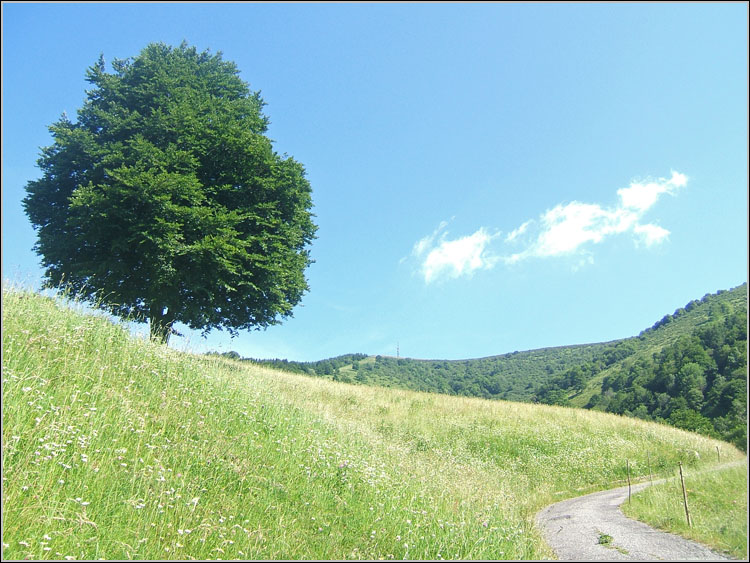 Il Triangolo Lariano