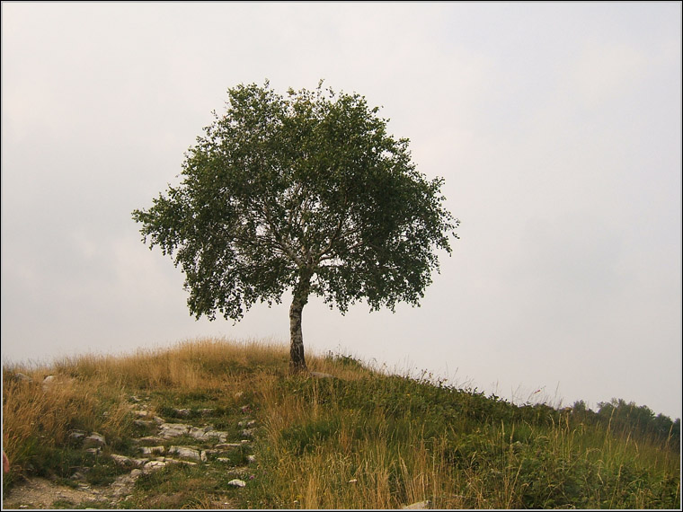 Il Triangolo Lariano