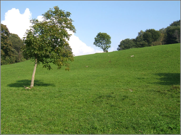 Il Triangolo Lariano