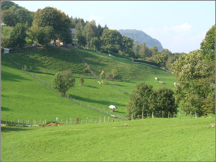 Il Triangolo Lariano