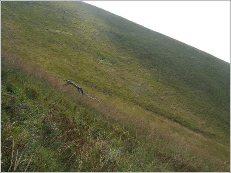 Il Triangolo Lariano