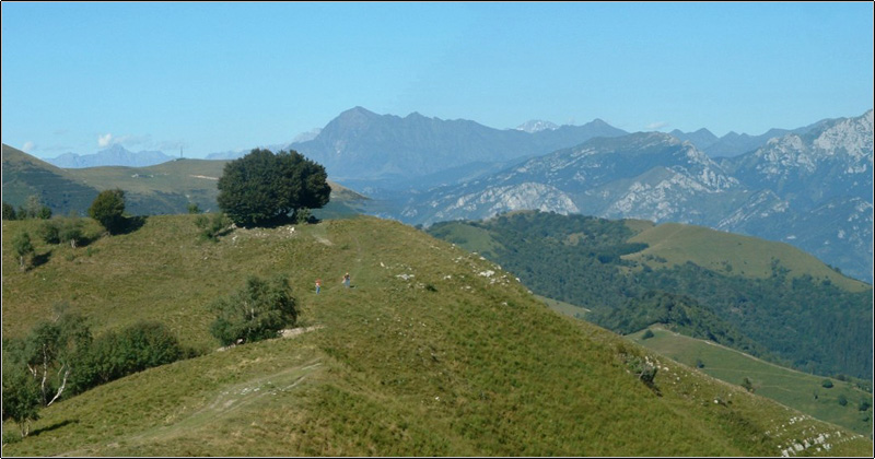 Il Triangolo Lariano