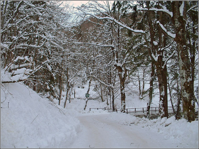 Il Triangolo Lariano