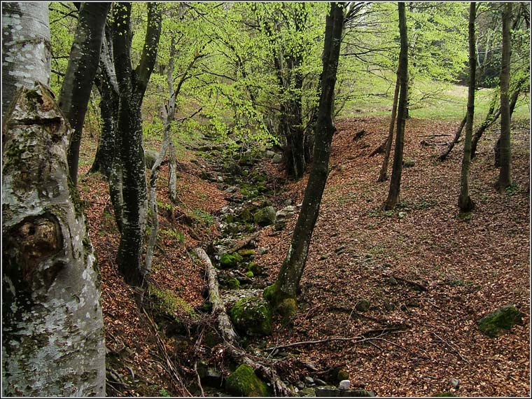 Il Triangolo Lariano
