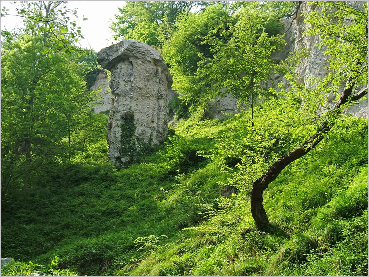Il Triangolo Lariano