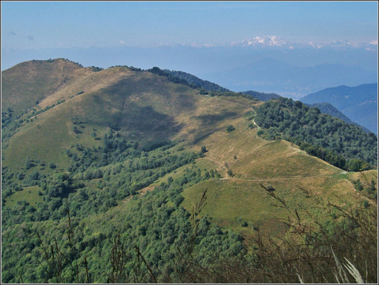 Il Triangolo Lariano