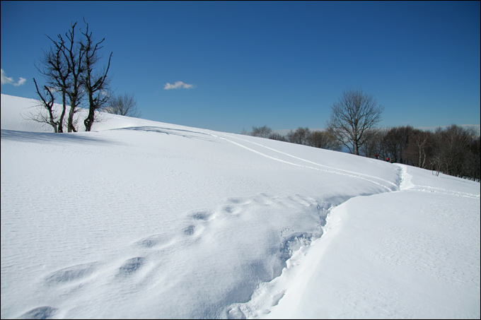 La neve di Pasqua: M.Palanzone e M.Preaola