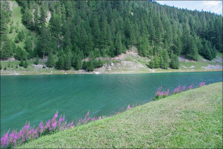 Laghi....della LOMBARDIA