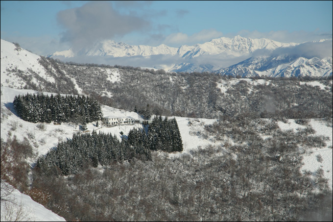 Monte Bolettone