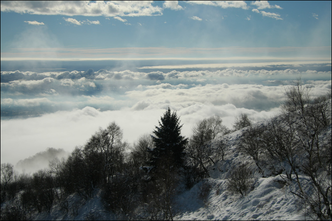 Monte Bolettone