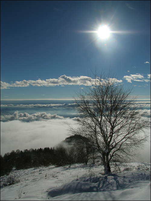Monte Bolettone