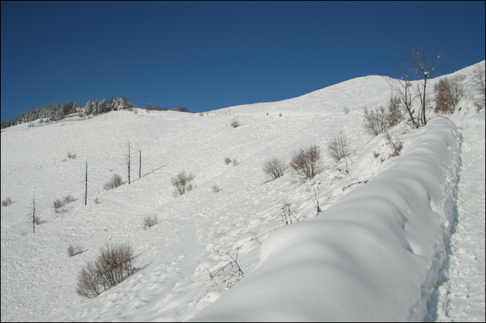 Monte Bolettone
